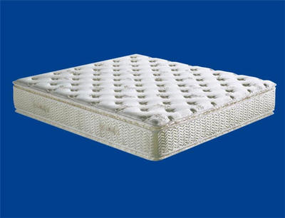 輕工集團 匠心傳承與創新驅動的現代輕工業領航者